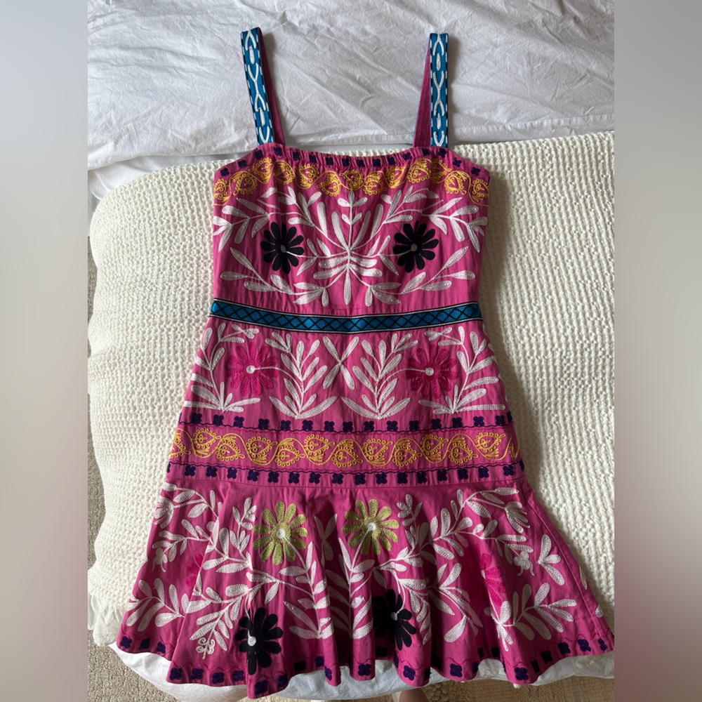 Alexis embroidered mini dress